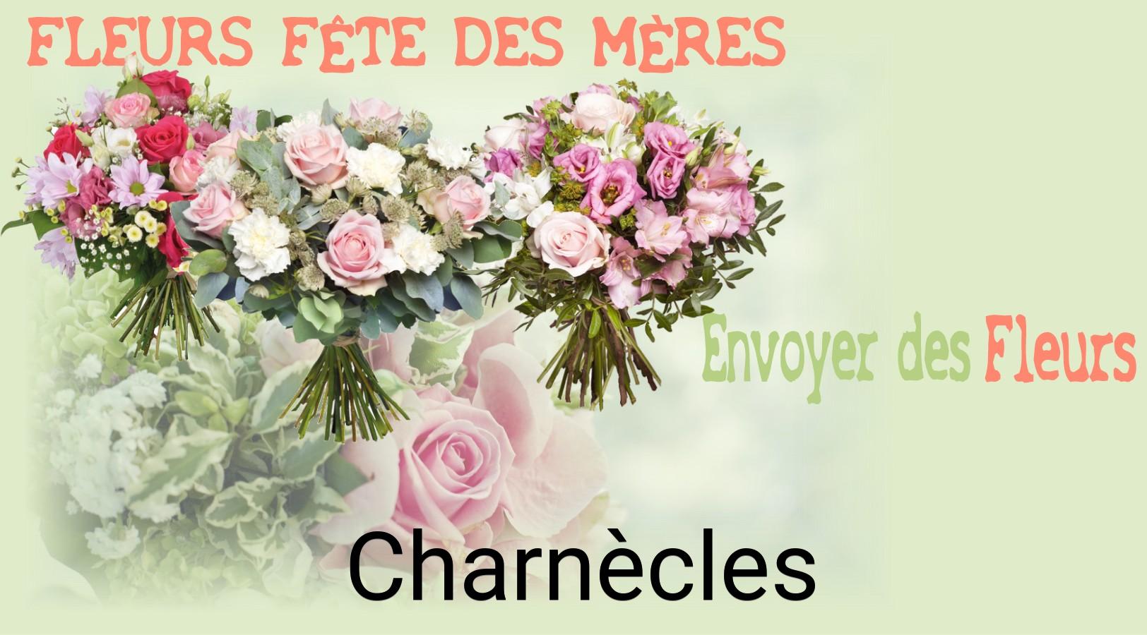 Bouquet de Fête des Mères livré à Charnècles